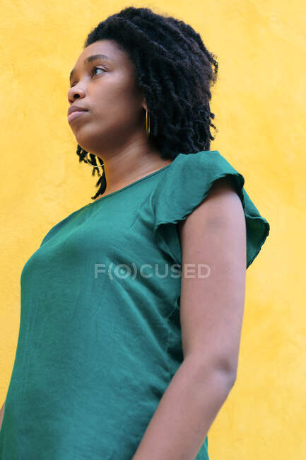 Una mujer afroamericana de pie con su rostro de perfil. - foto de stock