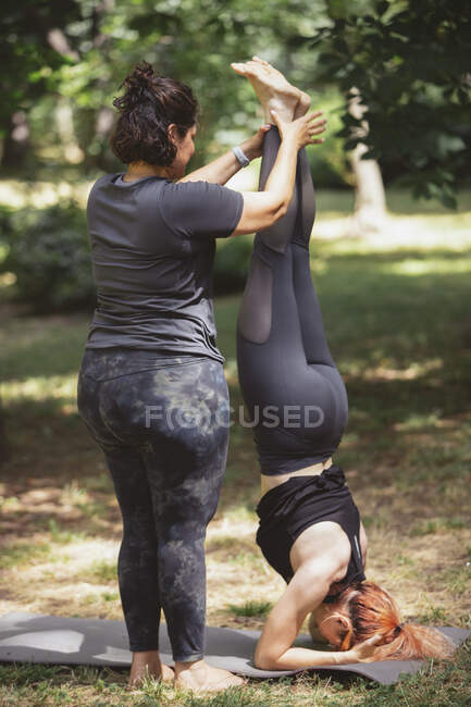 Anonymous teacher in sportswear helping female standing in Pincha Mayurasana pose while practicing yoga in park — Stock Photo