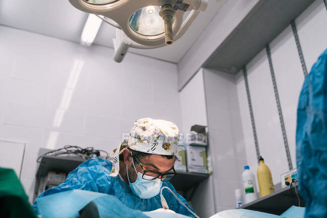 Professional competent vet surgeon with assistant in protective clothing and masks doing operation on animal patient in operating room with surgical lamp — Stock Photo