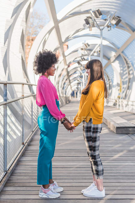 Vista lateral de la alegre pareja LGBT multiétnica de mujeres cogidas de la mano mientras están de pie en el puente en la ciudad en un día soleado y mirándose mutuamente - foto de stock