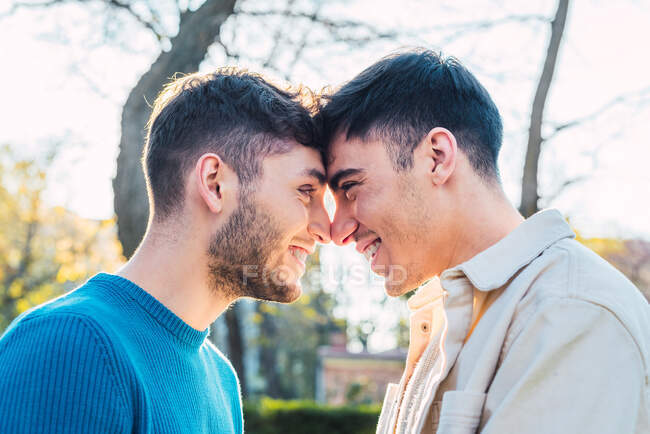 Vista lateral de pareja homosexual encantada de hombres tocando narices y mirándose en el parque - foto de stock
