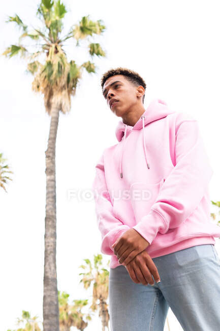 Low angle of confident young ethnic man with dyed Afro hairstyle dressed in trendy pink hoodie standing with arms crossed against palm tree and looking away — Stock Photo