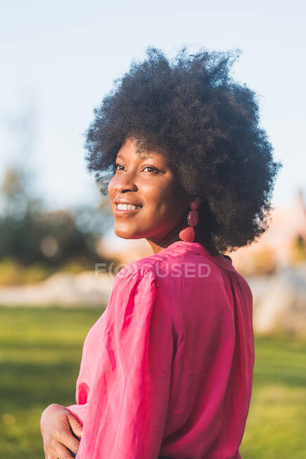 Vista lateral de la encantadora hembra afroamericana con el pelo rizado sonriendo mirando hacia otro lado mientras está de pie en el día soleado en el parque - foto de stock