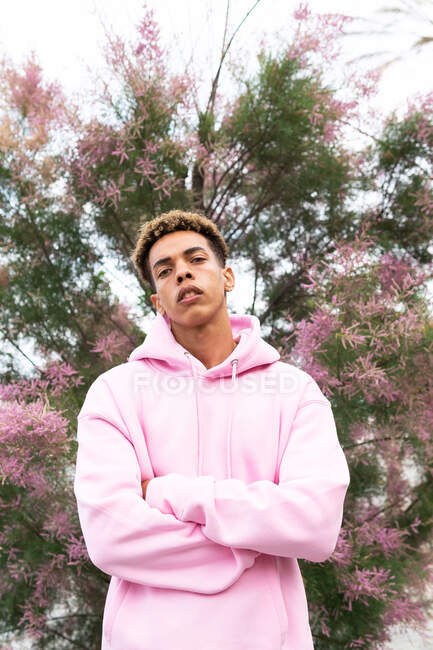 Low angle of confident young ethnic man with dyed Afro hairstyle dressed in trendy pink hoodie standing with arms crossed against blooming tree and looking at camera — Stock Photo