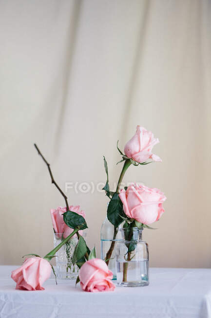 Roses roses à l'intérieur de vases en verre placés sur la table sur fond neutre — Photo de stock