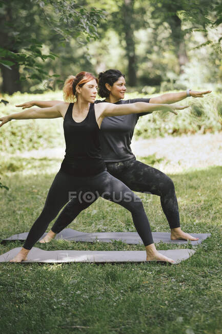 Konzentrierte junge multirassische Freundinnen in Activwear, die Krieger II auf dem Rasen posieren lassen, während sie gemeinsam Yoga im grünen Park machen — Stockfoto