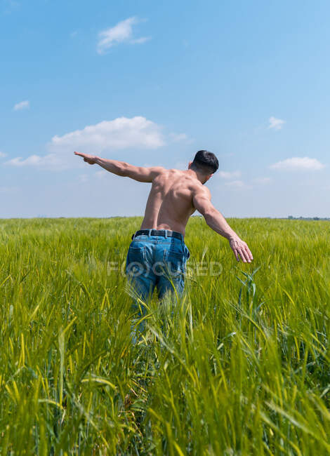 Обратный вид человека с обнаженным туловищем в джинсах, расправляющим руки, бегущего вперед по высокой траве сельской местности — стоковое фото