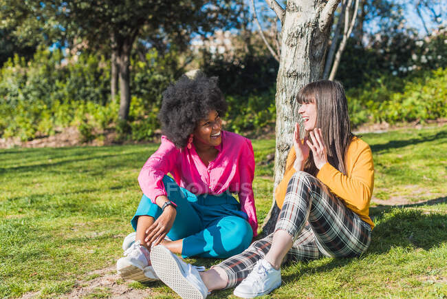 Multiracial couple of homosexual women chilling on meadow in park while having fun on sunny day at summer weekend — Stock Photo
