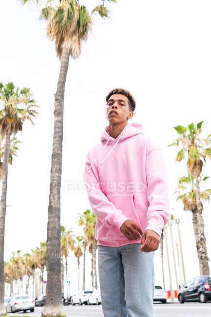 Niedriger Winkel eines selbstbewussten jungen Mannes mit gefärbter Afro-Frisur in einem trendigen rosafarbenen Kapuzenpulli, der mit verschränkten Armen vor einer Palme steht und in die Kamera blickt — Stockfoto