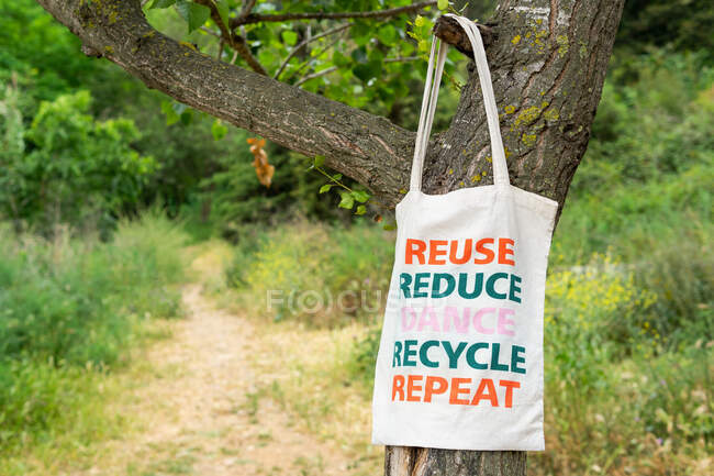 Eco friendly shopping bag made of cotton hanging on tree branch in summer park — Stock Photo