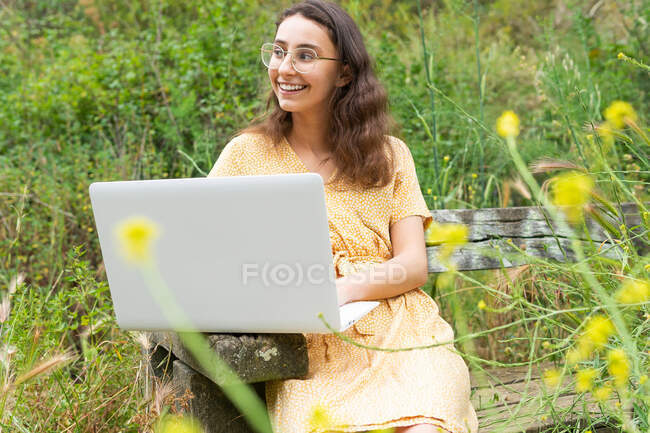 Alegre freelancer femenina navegando netbook mientras está sentada en el banco en el parque de verano y trabajando remotamente en el proyecto - foto de stock