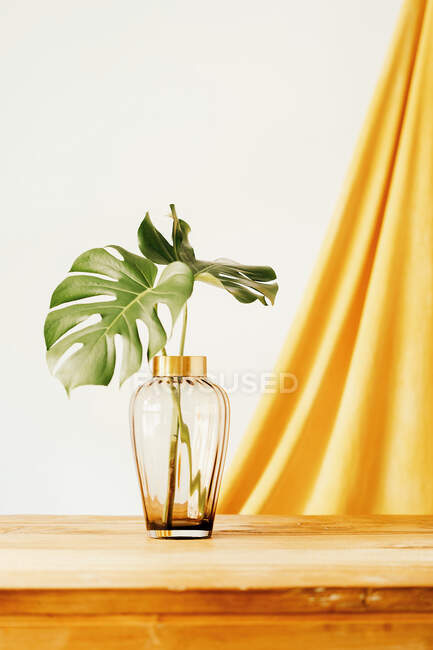 Frische grüne Blätter tropischer Pflanzen in Glasvase auf Holztisch vor weißer Wand und gelbem Tuch — Stockfoto
