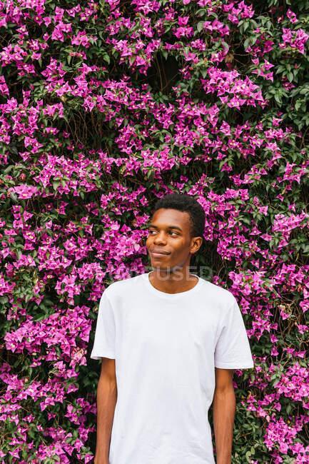 Sonriente hombre afroamericano de pie en el floreciente jardín de verano y mirando hacia otro lado - foto de stock