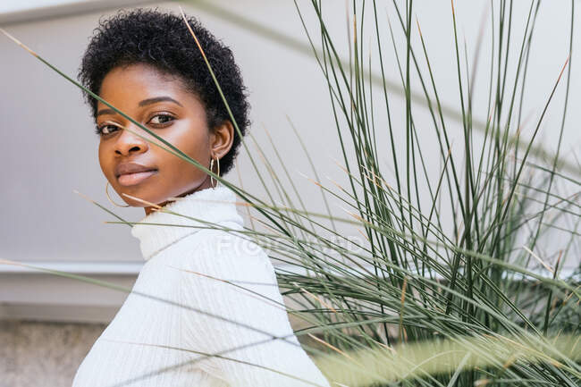 Side view of stylish African American female with short hair looking at camera while standing near planter with ornamental grass on city street — Stock Photo