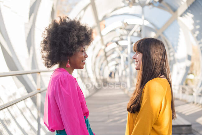 Вид сбоку радостной многонациональной ЛГБТ-пары женщин, держащихся за руки, стоя на мосту в городе в солнечный день и глядя друг на друга — стоковое фото