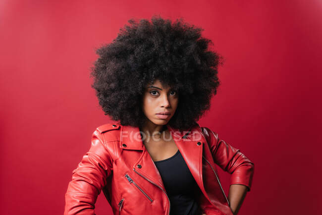 Deliziosa donna afro-americana con acconciatura afro guardando la fotocamera su sfondo rosso in studio — Foto stock