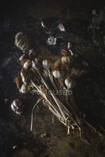 Зверху букет свіжих фіолетових зубчиків часнику, розміщених на темному фоні — стокове фото