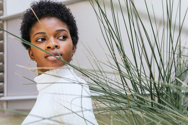 Side view of stylish African American female with short hair looking away while standing near planter with ornamental grass on city street — Stock Photo