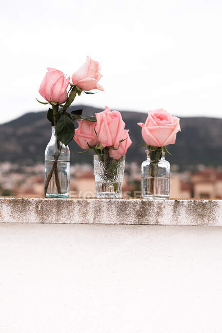 Rose rosa all'interno di vasi di vetro collocati sulla terrazza all'aperto — Foto stock