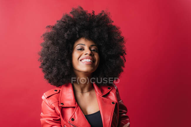 Delighted African American female with Afro hairstyle looking at camera on red background in studio — Stock Photo