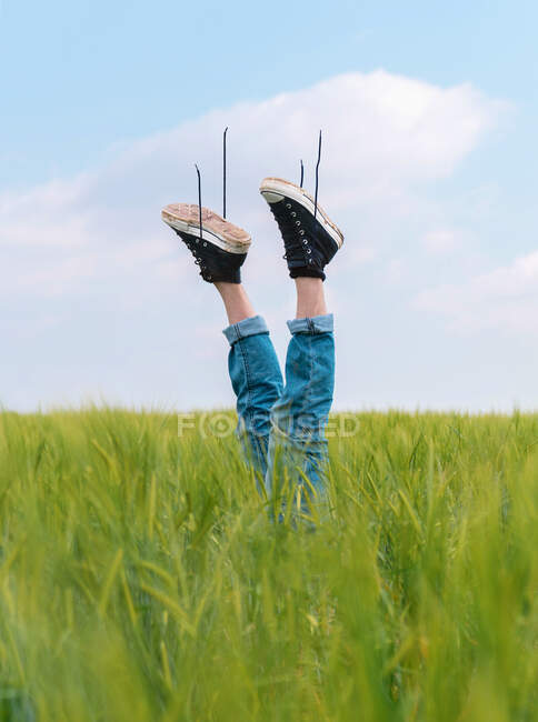 Persona boca abajo sin rostro en vaqueros y zapatillas negras levantando las piernas de la hierba verde del campo en verano - foto de stock