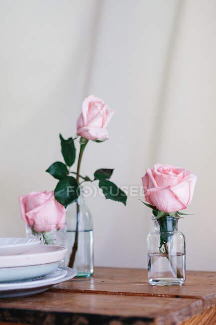 Rosas rosadas dentro de jarrones de vidrio colocados sobre mesa de madera sobre fondo neutro - foto de stock