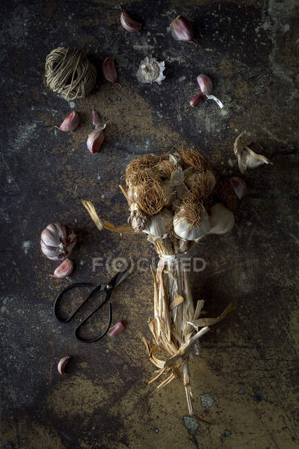 De cima buquê de dentes de alho roxo fresco colocados em fundo escuro — Fotografia de Stock