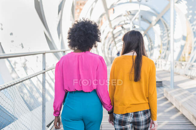 Vista posterior de la anónima pareja multirracial de mujeres homosexuales cogidas de la mano y caminando por el puente en la ciudad durante el paseo de verano - foto de stock
