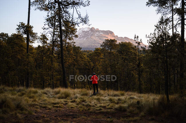Вид на анонимного исследователя в верхней одежде, стоящего в лесу в горах на закате — стоковое фото