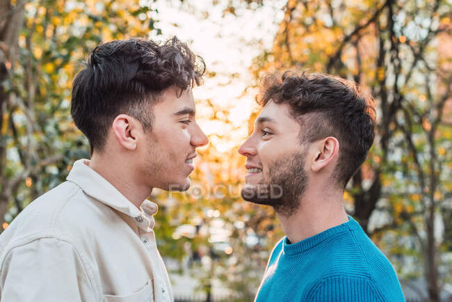 Vista laterale di coppia omosessuale felice di uomini che si guardano nel parco — Foto stock