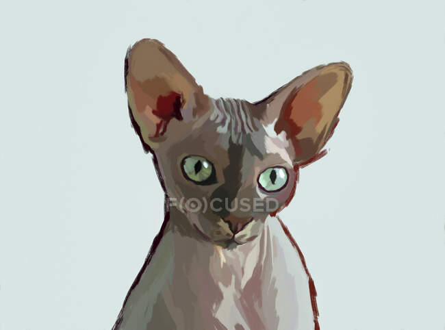 Painted illustration of adorable Sphynx cat with green eyes on pastel blue background — Stock Photo