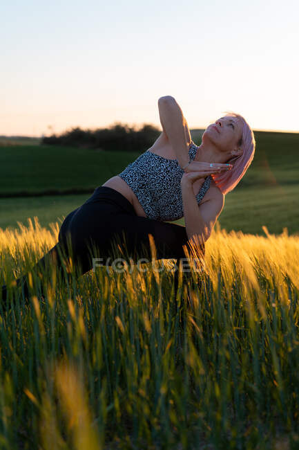 Mujer adulta en ropa deportiva practicando yoga mientras mira hacia arriba en el prado a la luz del sol por la noche - foto de stock