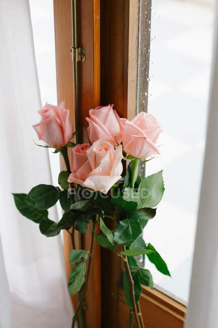 Buquê de rosas rosa dentro pendurado na porta de madeira — Fotografia de Stock