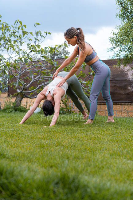 Side view of female in sportswear helping anonymous partner performing Downward Facing Dog pose on meadow — Stock Photo