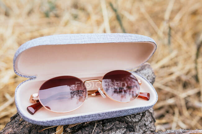 From above close up of a case that holds some sunglasses — Stock Photo