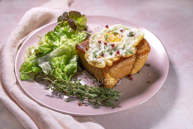 Grand angle d'oeuf frit sur brioche servi dans une assiette avec laitue fraîche pour un petit déjeuner appétissant sur fond rose — Photo de stock