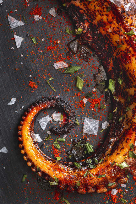From above delicious grilled octopus tentacle served with spices on wooden board — Stock Photo