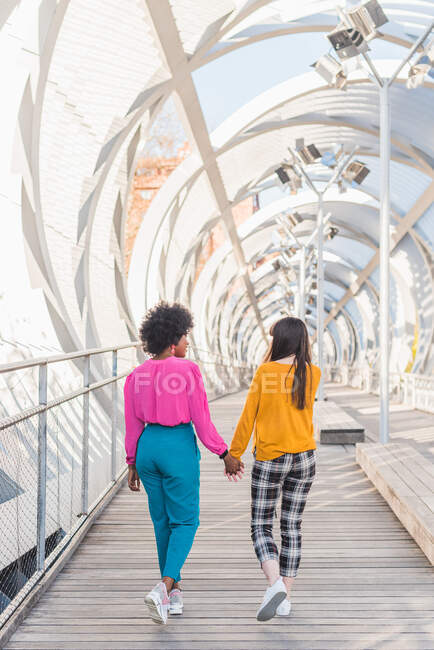 Обратный вид анонимной многорасовой пары гомосексуальных женщин, держащихся за руки и идущих вдоль моста в городе во время летней прогулки — стоковое фото