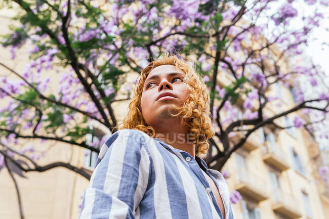 D'en bas de mâle curieux rêveur avec de longs cheveux ondulés debout dans la rue en été avec arbre à fleurs — Photo de stock
