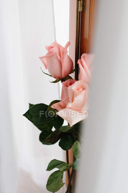 Bouquet de roses roses à l'intérieur accroché à une porte en bois — Photo de stock