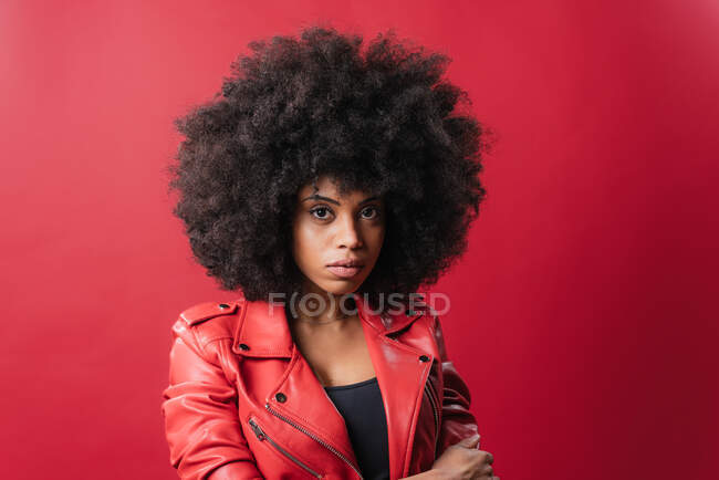 Délicieuse femme afro-américaine avec coiffure afro regardant la caméra sur fond rouge en studio — Photo de stock