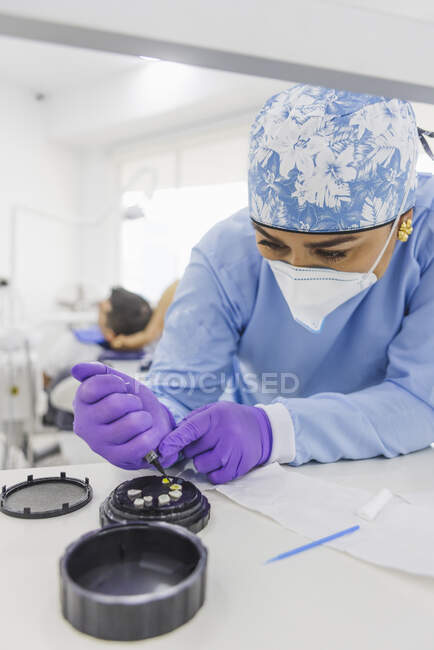 Взрослая женщина-врач в униформе, смазывающая шпон клеем — стоковое фото