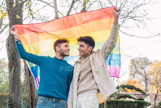 Baixo ângulo de casal alegre de homens homossexuais de pé com bandeira LGBT arco-íris acenando acima das cabeças no parque e olhando para a câmera — Fotografia de Stock
