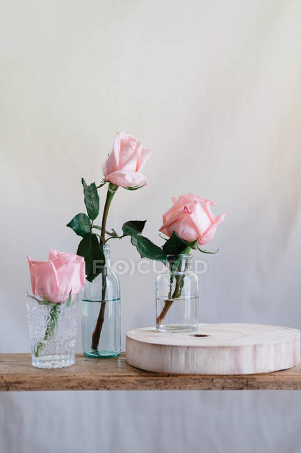 Rosas cor-de-rosa dentro de vasos de vidro colocados na superfície de madeira contra fundo neutro — Fotografia de Stock