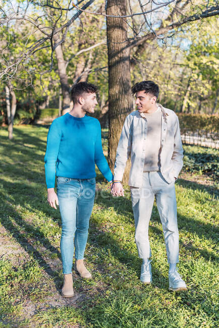 Zufriedenes Paar homosexueller Männer, die sich Händchen halten und an sonnigen Tagen im Park spazieren gehen, während sie einander anschauen — Stockfoto