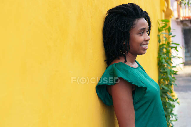 Hermosa joven con afro en la calle - foto de stock