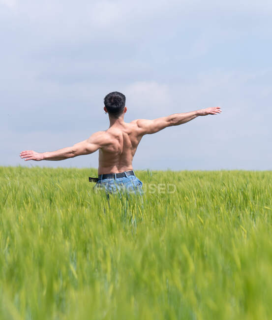 Обратный вид человека с обнаженным туловищем в джинсах, расправляющим руки, стоя на высокой траве сельской местности — стоковое фото