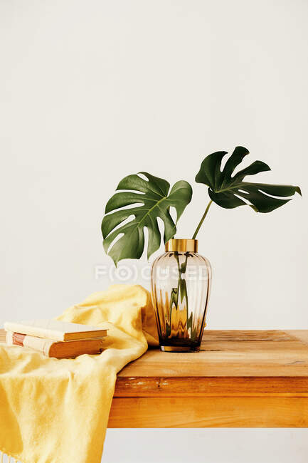 Composition of fresh green plants in glass vase and stacked books with yellow textile on wooden desk against white background — Stock Photo