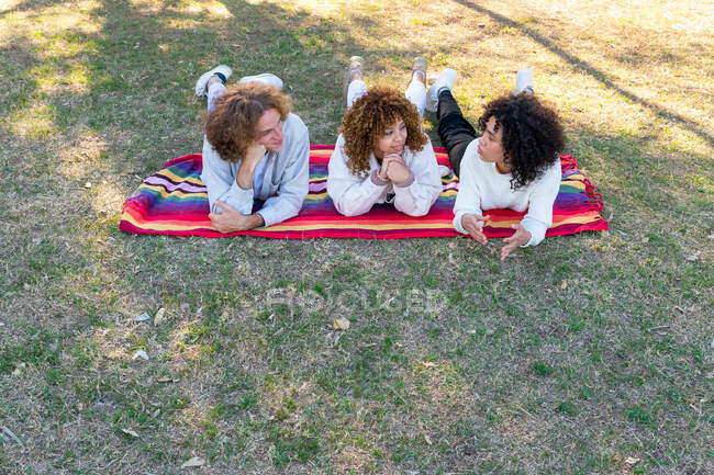 Alto ángulo de diversos amigos masculinos y femeninos con el pelo rizado acostado en la manta de colores en el prado y hablando en verano - foto de stock