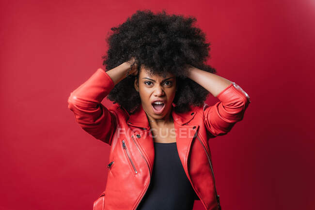 Naughty African American female screaming and touching hair while looking at camera on red background in studio — Stock Photo